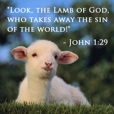 The Lamb of God Who Takes Away the Sin of the World