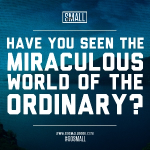 go small book meme miraculous world of ordinary